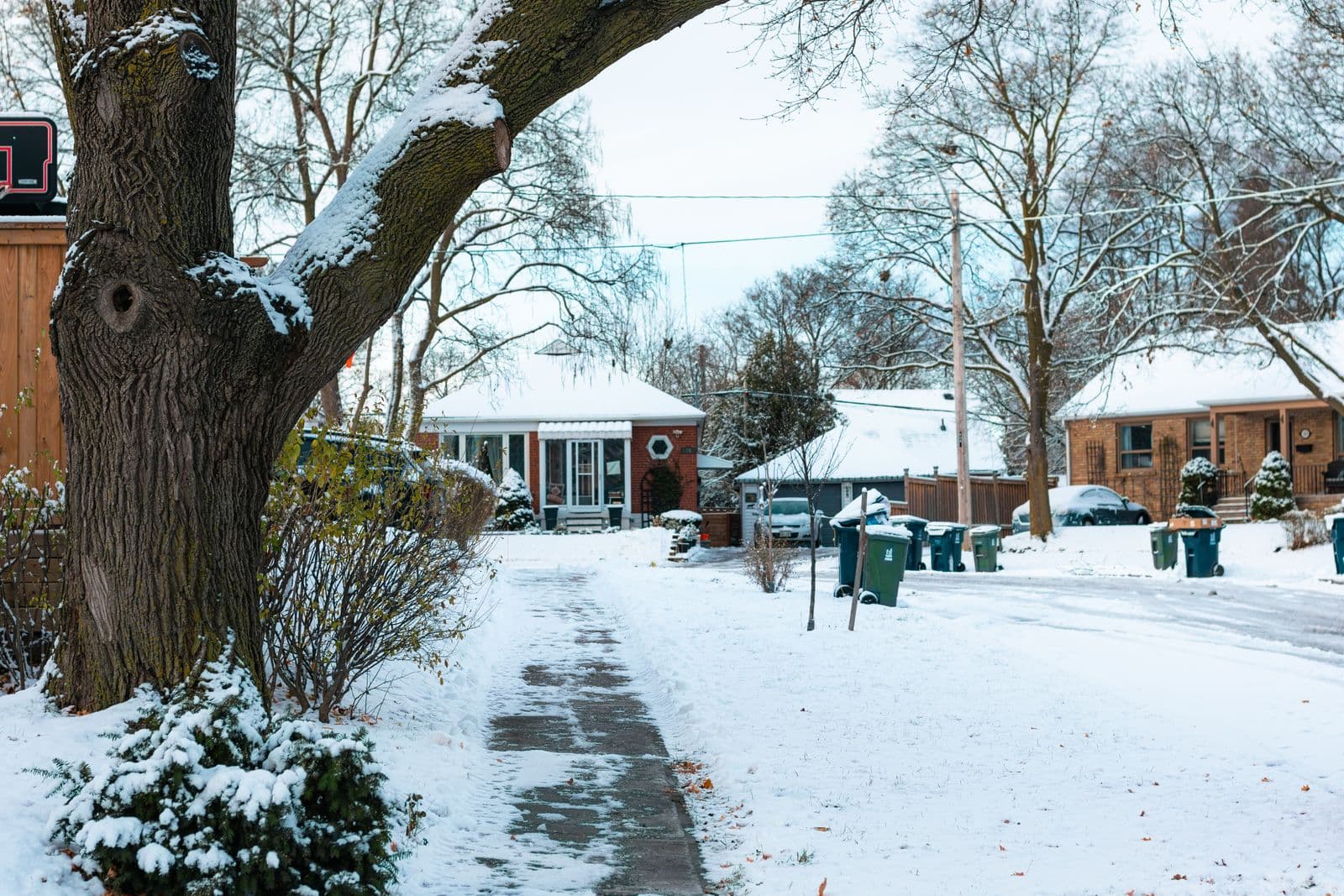 A quiet suburban street with a cleared path, snow-covered trees and houses.