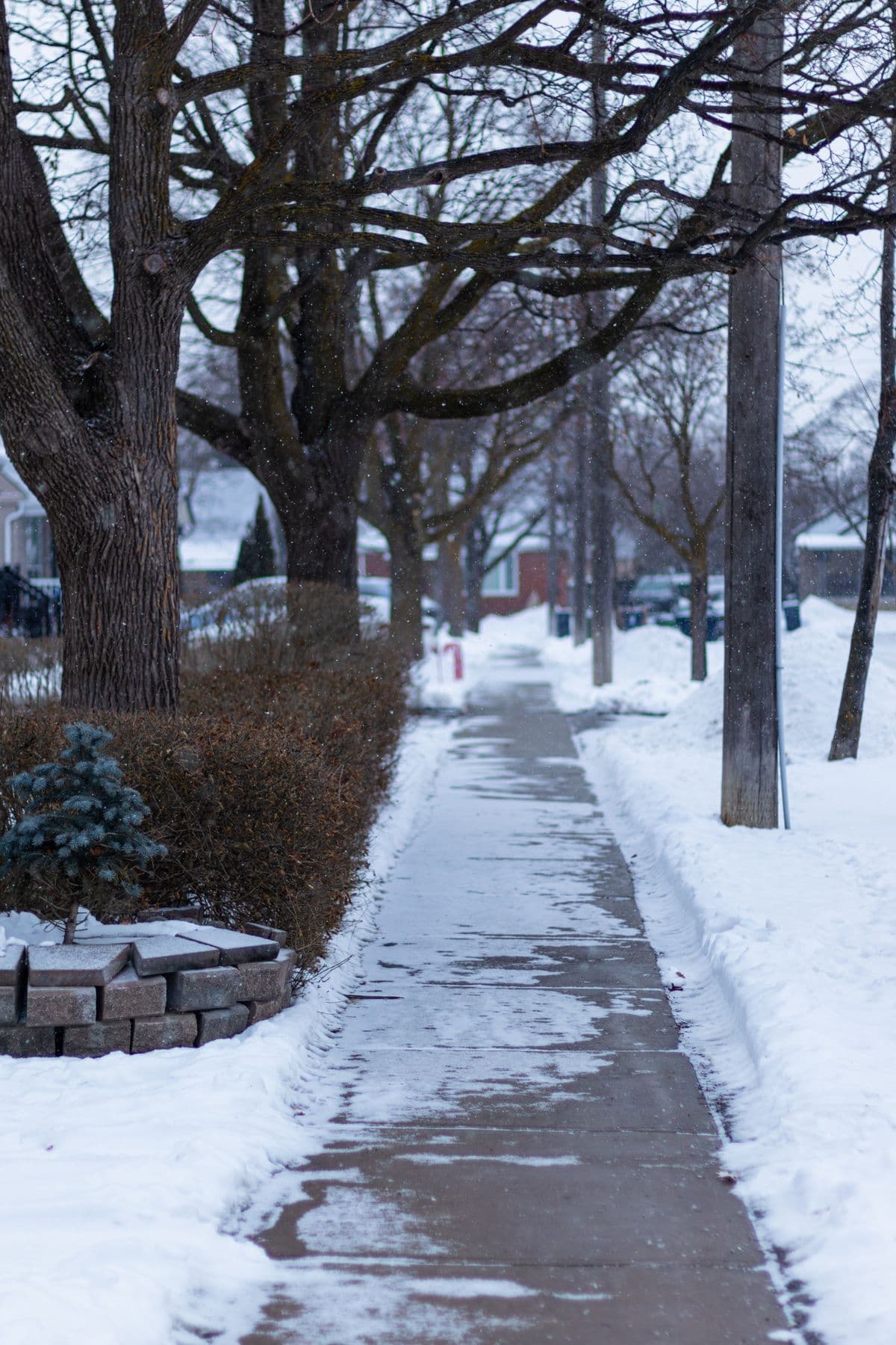 A cleared sidewalk running alongside snow-covered ground.